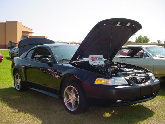 My 1999 Limited Edition 35th Anniversary Mustang GT